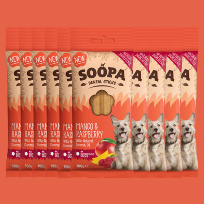 SOOPA Dental Stick dla psa – Mango i Maliny (100g)