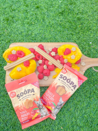 SOOPA Dental Stick dla psa – Mango i Maliny (100g)