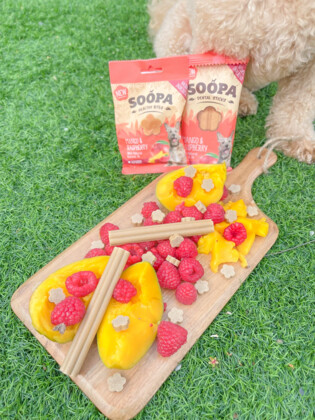 SOOPA Dental Stick dla psa – Mango i Maliny (100g)