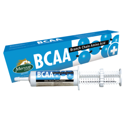 BCAA (60 ml) - aminokwasy rozgałęzione dla koni