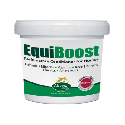 EquiBoost (3 kg) - multiwitaminy z prebiotykiem dla koni