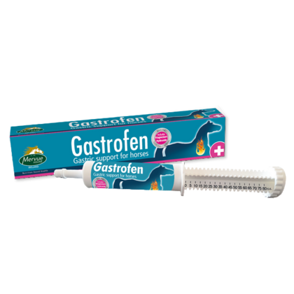 Gastrofen (80 ml) - wsparcie w leczeniu wrzodów żołądka u koni