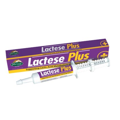 Lactese Plus (30 ml) - wsparcie metabolizmu kwasu mlekowego u koni