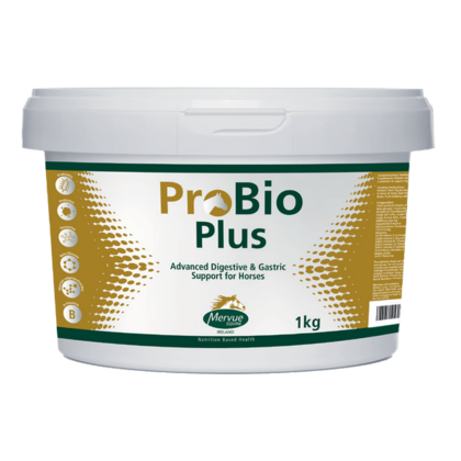 ProBio Plus (1 kg) - probiotyki i prebiotyki dla koni