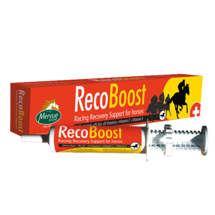 RecoBoost (80 ml) - elektrolity, aminokwasy i minerały dla koni