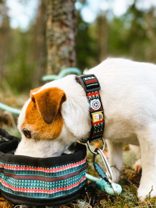 Obroża dla psa Woodland