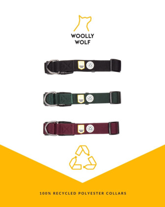 Obroża dla psa zielona Evergreen