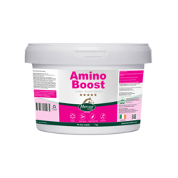 AminoBoost (1 kg) - wsparcie budowy mięśni u koni