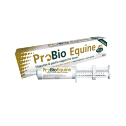 ProBio Equine (30 ml) - probiotyki oraz składniki odżywcze dla koni