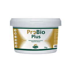 ProBio Plus (1 kg) - probiotyki i prebiotyki dla koni