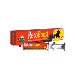 RecoBoost (80 ml) - elektrolity, aminokwasy i minerały dla koni