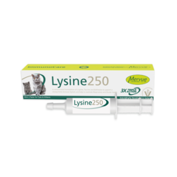 Lizyna (Lysine) dla kotów 30ml